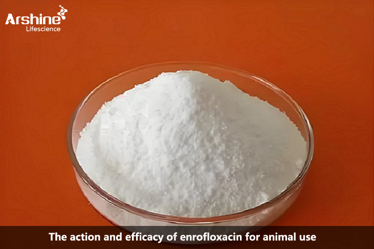 Enrofloxacin base