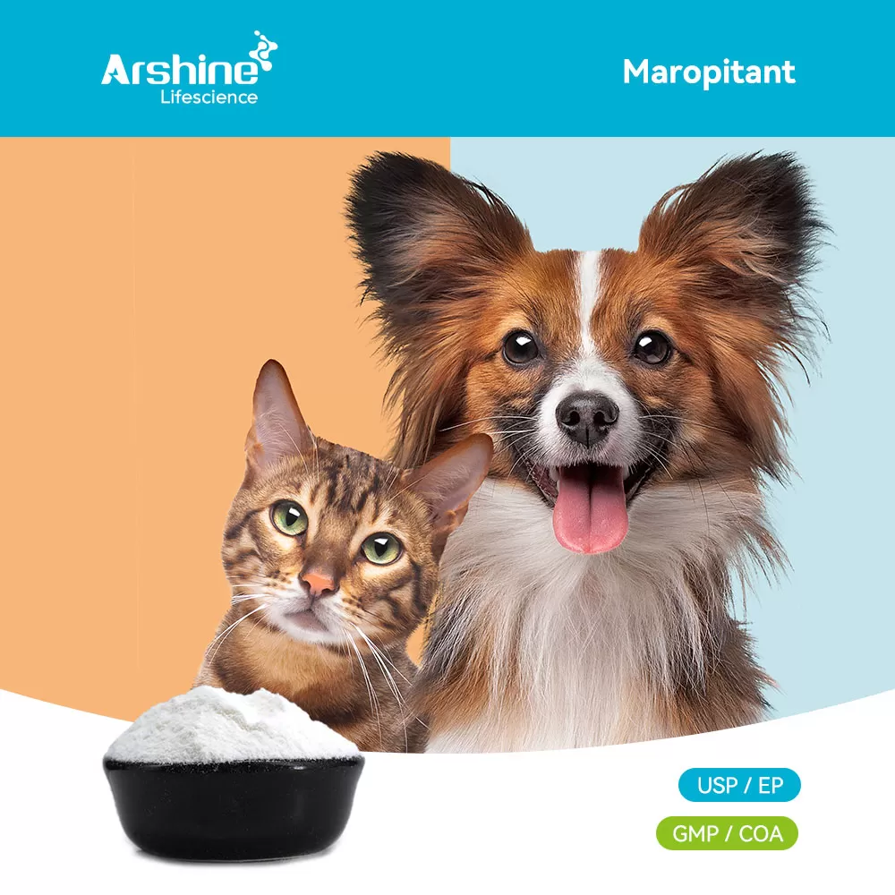 Maropitant – Veterinary Anti-Emetic API for Pets