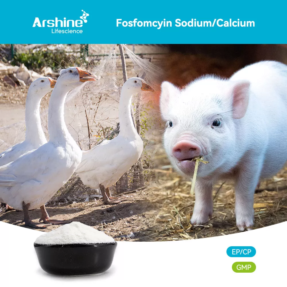 Fosfomycin Calcium: Particle Engineering for Intestinal Efficacy