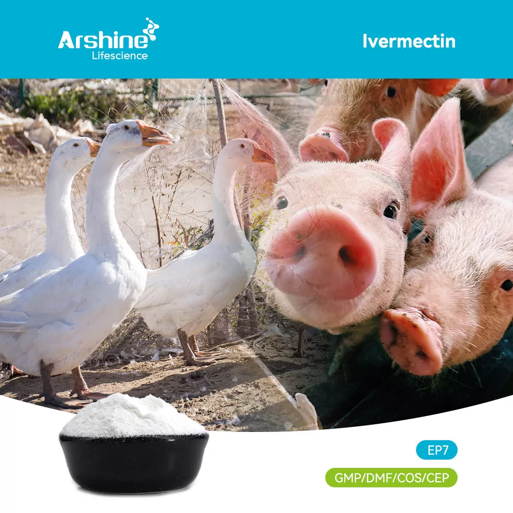 Ivermectin: Navigating the Physics of a Semi-Synthetic Gold Standard