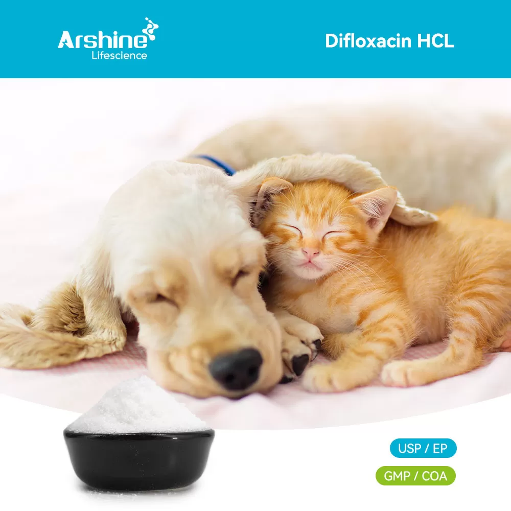 Difloxacin HCL – Veterinary Fluoroquinolone API for Animal Infections