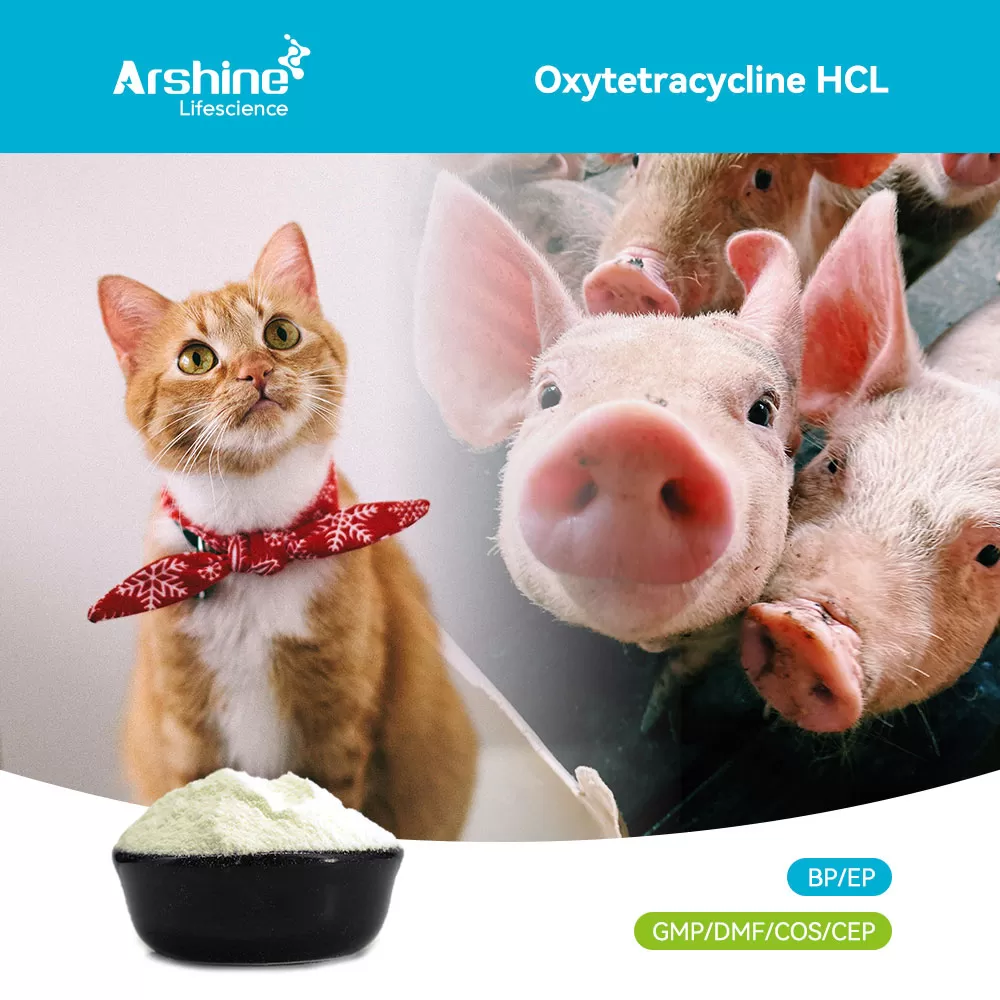 Oxytetracycline HCl: The Enduring Legacy of a Broad-Spectrum Antibiotic