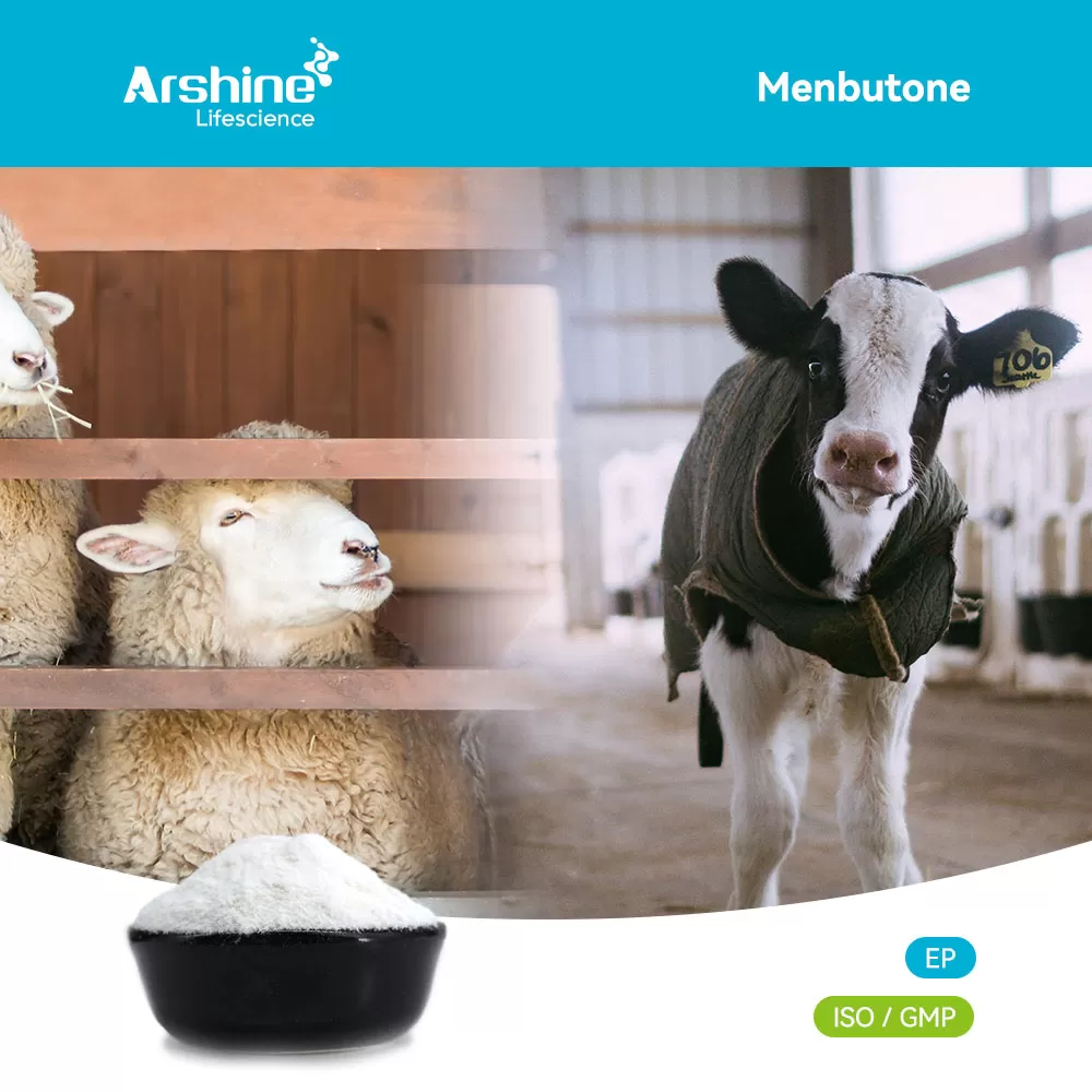 Unlocking Animal Health: The Indispensable Role of High-Purity Menbutone (CAS 3562-99-0) in Modern Veterinary Care