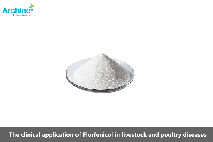 florfenicol powder