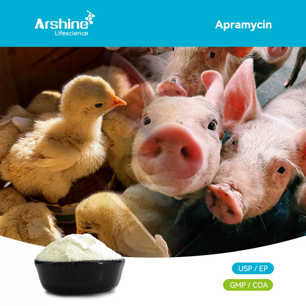 Apramycin – Veterinary Aminoglycoside Antibiotic API