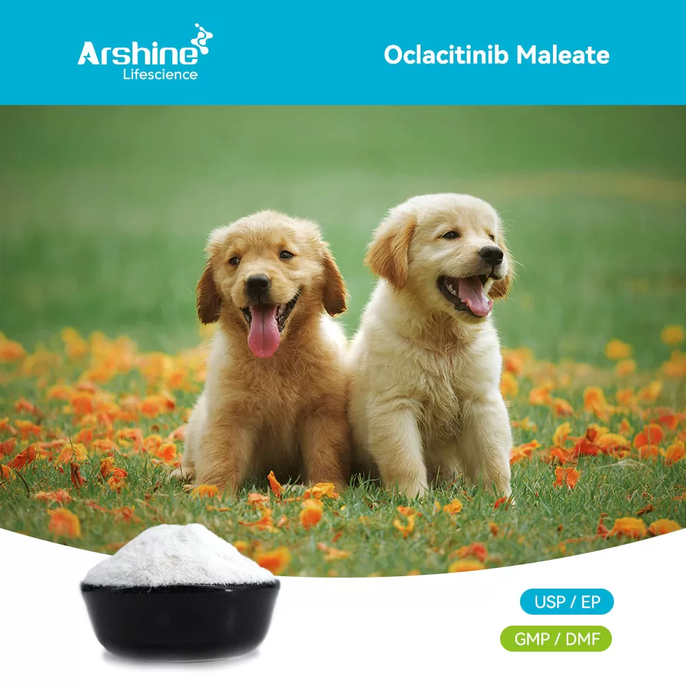 The Next Generation of Comfort: A Comprehensive Guide to Oclacitinib Maleate (CAS 1208319-27-0) for Canine Atopic Dermatitis