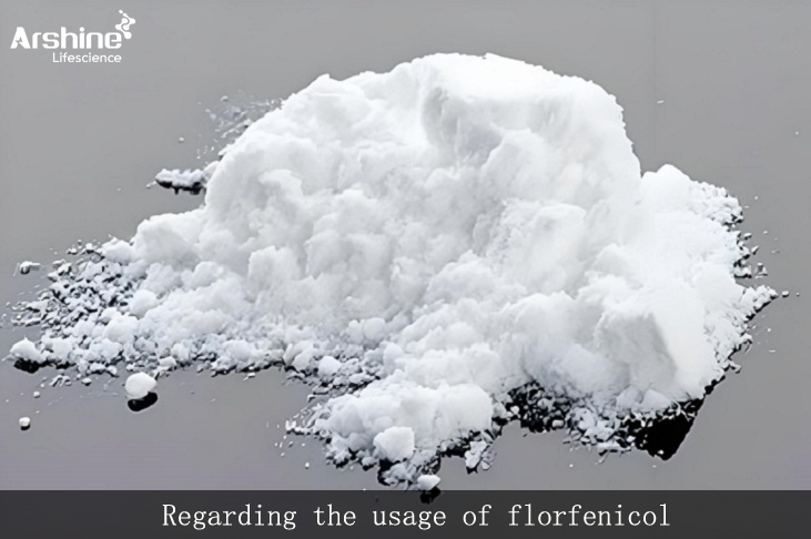 Regarding the usage of florfenicol