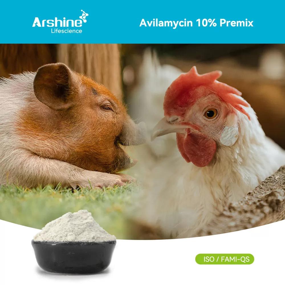 Avilamycin 10% Premix – Veterinary Antibiotic for Livestock Health