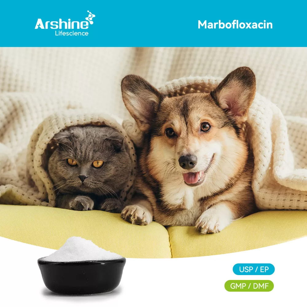 Marbofloxacin – Veterinary Fluoroquinolone API for Companion and Farm Animals