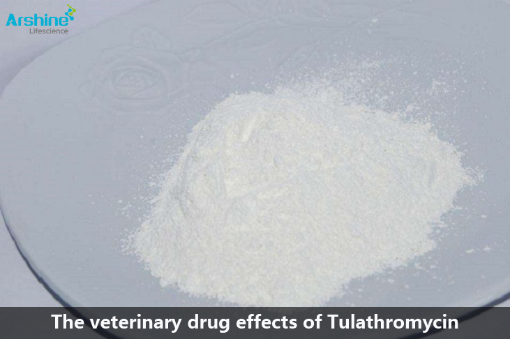The veterinary drug effects of Tulathromycin