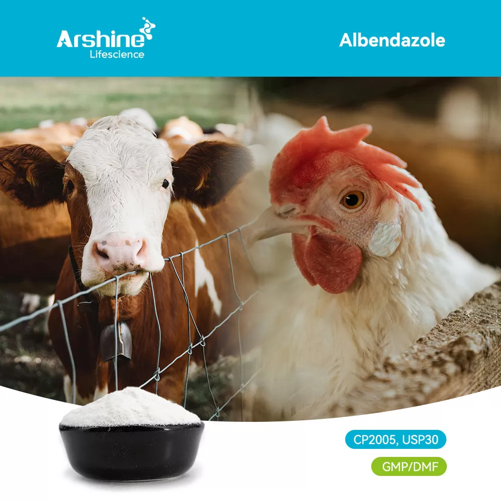 BCS Class IV Challenges and the Physics of Micronization