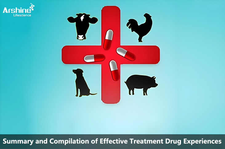 Summary and Compilation of Effective Treatment Drug Experiences