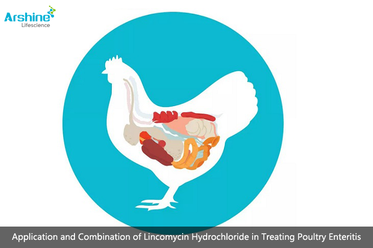 Arshine Lincomycin hydrochloride