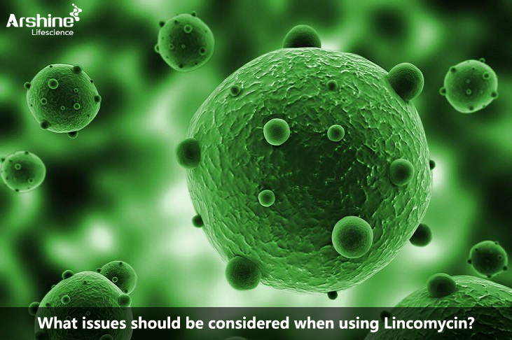 What issues should be considered when using Lincomycin?